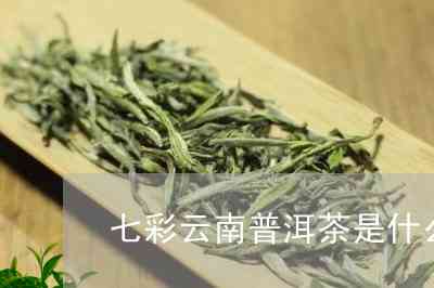 七彩普洱茶是什么档次的茶