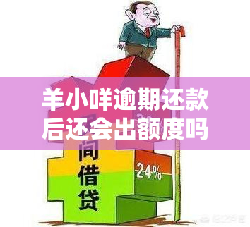 羊小咩购物额度逾期未还款的风险及解决办法探讨