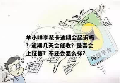 羊小咩购物额度逾期上吗？多久爆？不还会怎样？