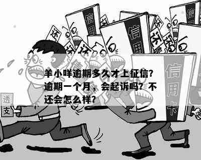 羊小咩购物额度逾期上吗？多久爆？不还会怎样？