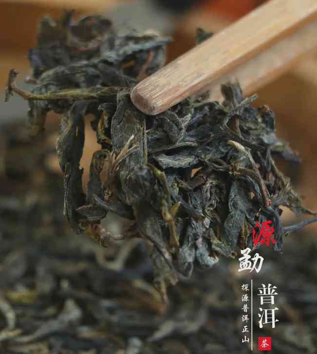 普洱茶阿兰