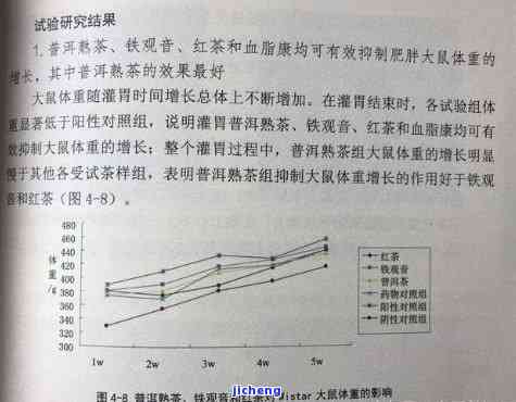 普洱茶对体重的影响：科学解析与合理饮用建议