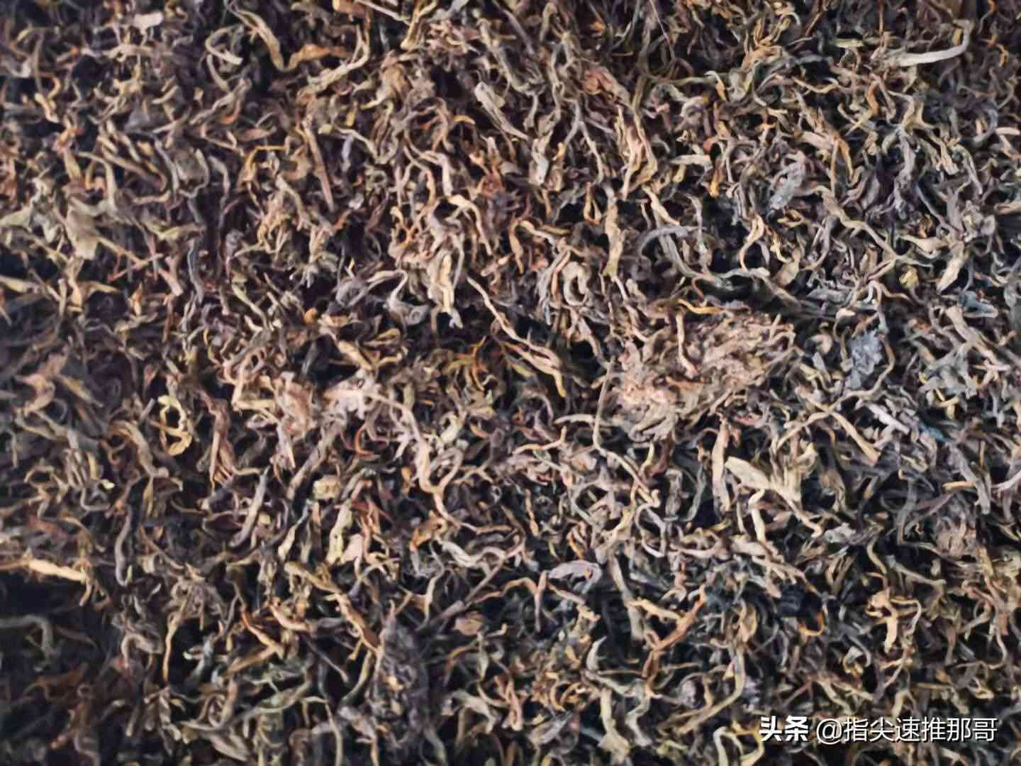 普洱茶保存的理想度是多少？如何确保其品质不受影响？