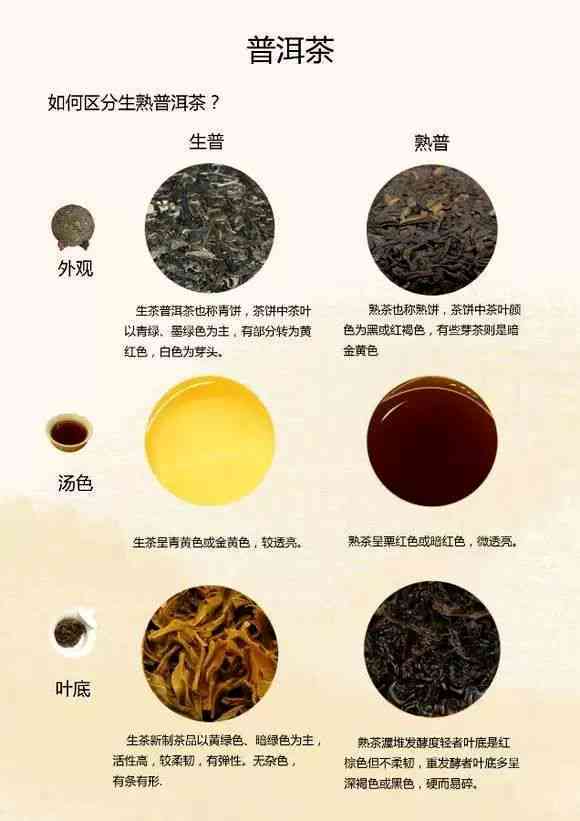 普洱茶品质评级：从一星到六星的全方位解读