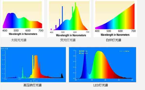 探究和田玉紫光灯照射效果：真实颜色、质量与鉴赏方法一文解析