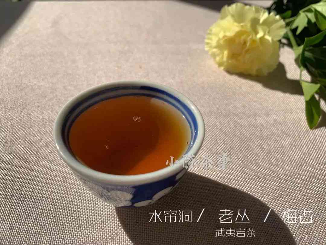 所有普洱茶执行标准一样吗为什么？-普洱茶的执行标准、码、号的意义。