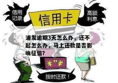 浦发信用卡逾期半小时是否会影响？