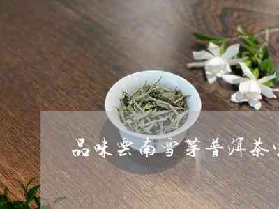 雪芽普洱茶价格：一斤、一盒、一瓶多少钱？