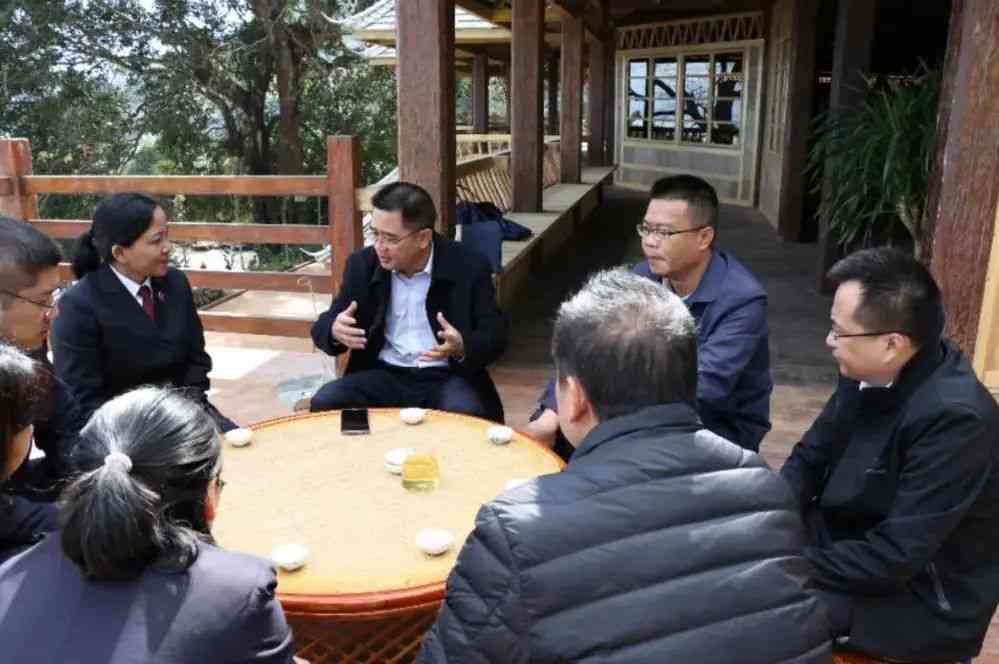 普洱茶晖：云南普洱茶云川案件与研究院专家研究