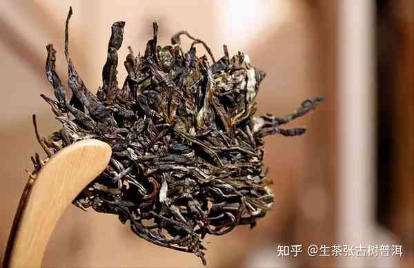 普洱茶专业术语：深入解析茶叶界的独特语言