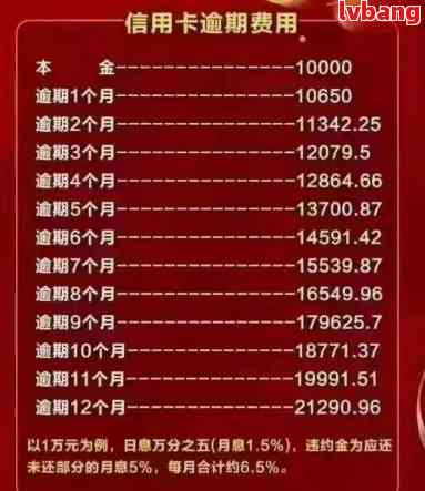 中信信用卡2万分36期的手续费详细解析，包括不同还款方案的费用对比