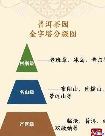 侧道普洱茶：一线与其它级别的区别、特点和购买指南