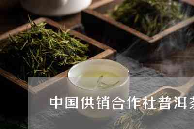 普洱茶王茶业集团股份：官网介绍，茶叶品质优良。