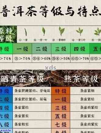 普洱茶珍的性质：性、平和还是其他？了解不同种类普洱茶珍的性质