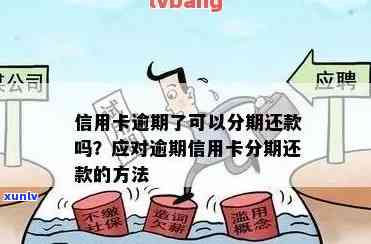 信用卡逾期后如何实现免息分期还款？详细操作指南与相关问题解答