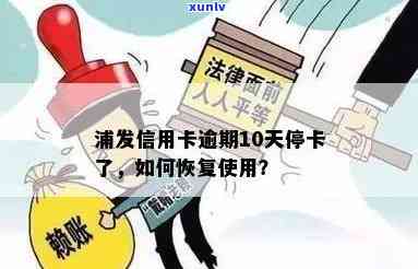 浦发信用卡逾期被停卡，如何恢复使用？