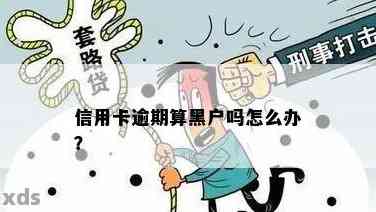 信用卡逾期今天变黑户