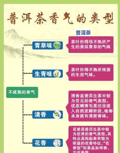 普洱茶香型：探索各种口味及其独特魅力