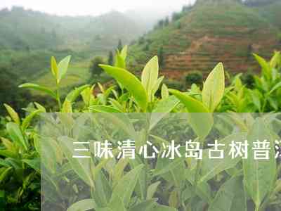 三味清心普洱古树茶昆明三味清心茶文化三味堂普洱茶价格及详情