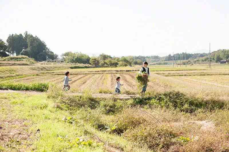 老公的农村生活：全面揭示他们的日常、农业劳动与田园福