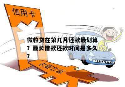 在何种月份全额还款微粒贷20个月借款最为经济？