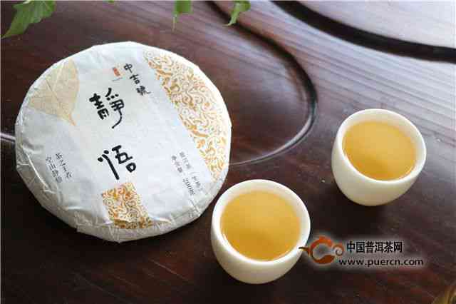 品悟普洱茶