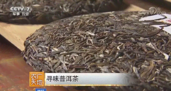 藏茶普洱茶绿茶比较：电视台权威报道