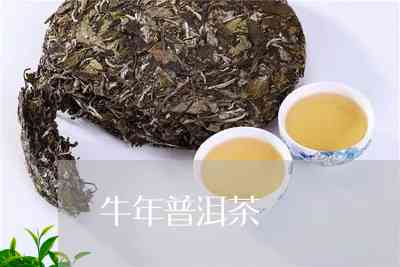 牛油普洱茶：云南普洱牛油果与犇牛普洱茶，探索普洱茶油的奥秘