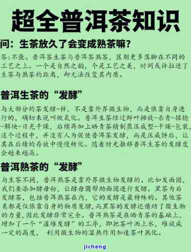 普洱茶知识宝库：专业茶叶咨询与购买平台，让您了解普洱茶的精髓所在