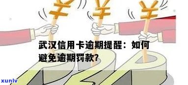 武汉信用卡逾期问题全面解析：如何应对、后果与解决方案