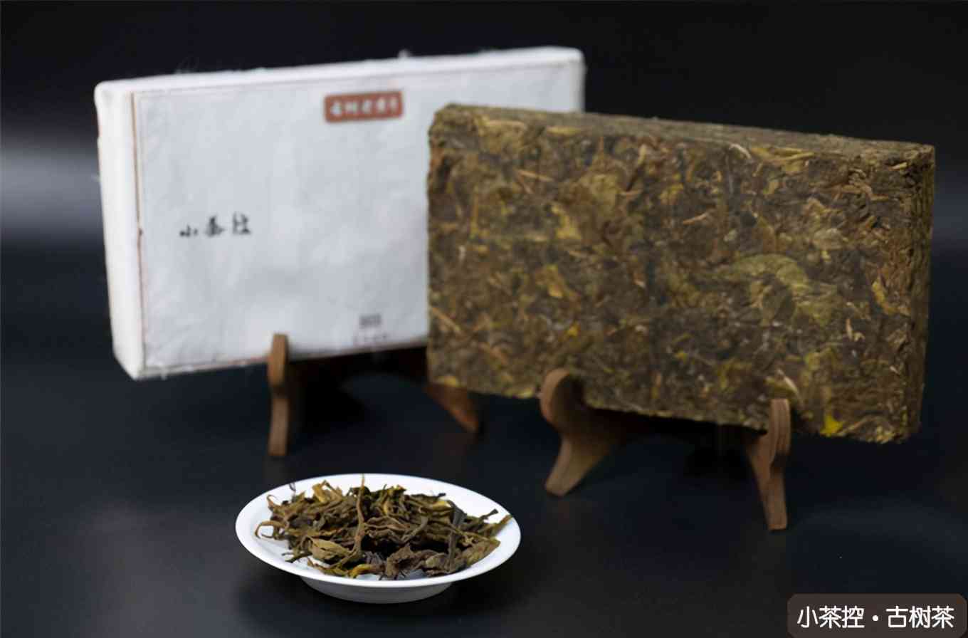 普洱茶条索大小与古树茶的关系及挑选方法