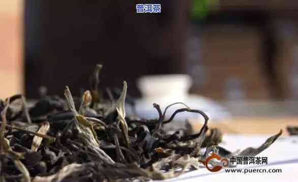 普洱茶条索细长是哪里的：探究普洱茶条索细长的原因及产地