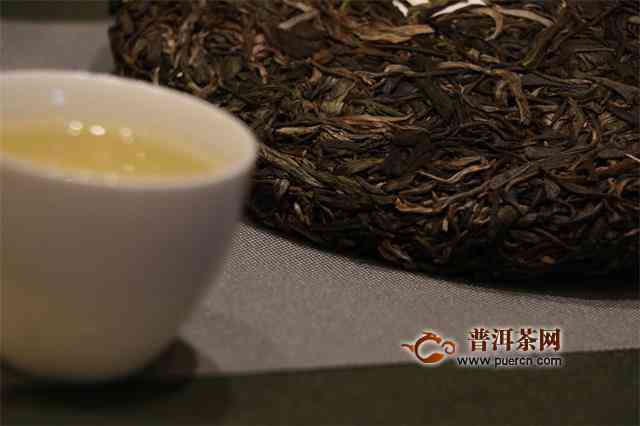 最适合买的普洱茶是什么茶叶类型和？