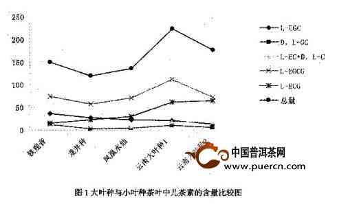 云南原生态普洱茶叶中维生素C含量的研究与探讨