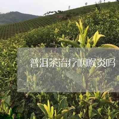 云南普洱澜沧保茶厂的茶叶怎么样？价格和种类如何？