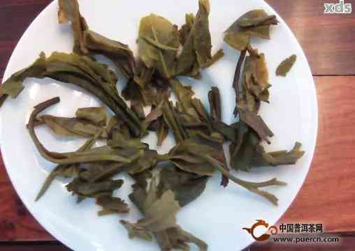 普洱茶丝带：一种独特的普洱茶制品及其制作方法、功效与品鉴技巧