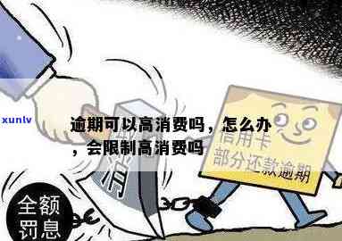 逾期多少次会被限制高消费