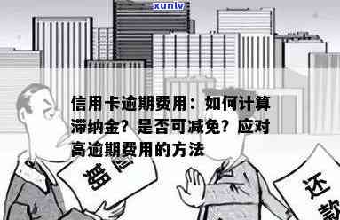 信用卡利息和滞纳金：全面解析与如何避免费用