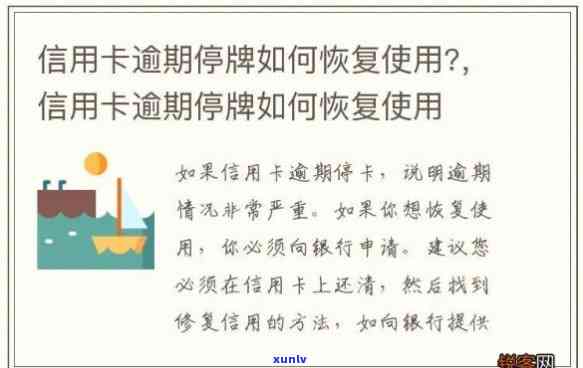 信用卡停用操作指南：如何安全有效地停止使用信用卡及相关问题解答