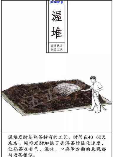 新「探索普洱茶绵纸的秘密工艺：从原材料到制作流程的全面解析」