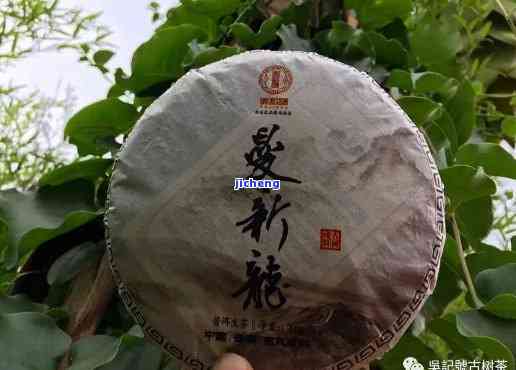 曼龙旗舰店出售的普洱茶品质保证吗？如何鉴别真伪？