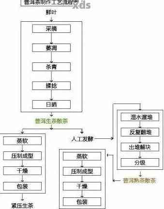 普洱茶的精制茶工艺及其独特的发酵过程