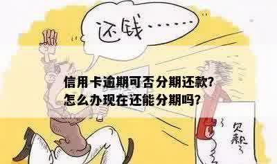 信用卡当月逾期怎么办理分期还款和期还款？