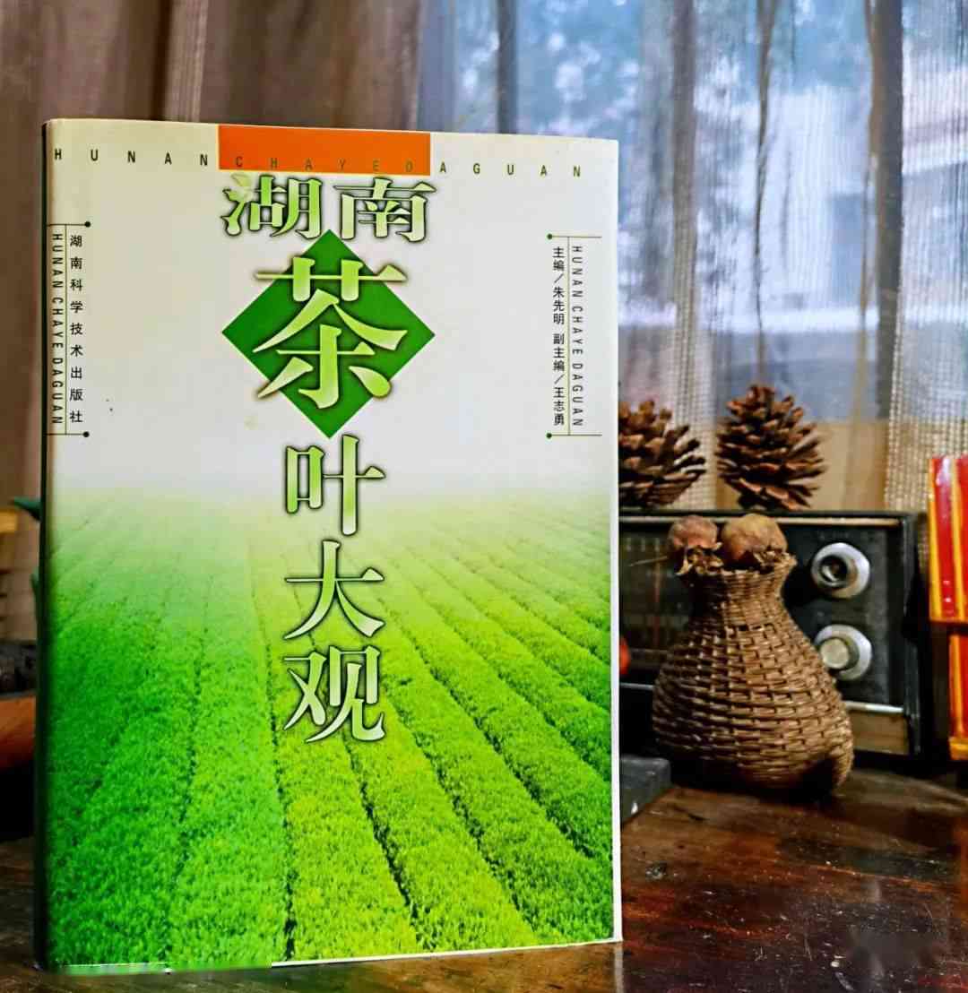 丰碑普洱茶