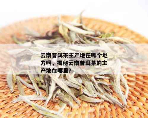 正宗普洱茶在云南哪里生产的好：云南普洱茶产地哪个地方喝？