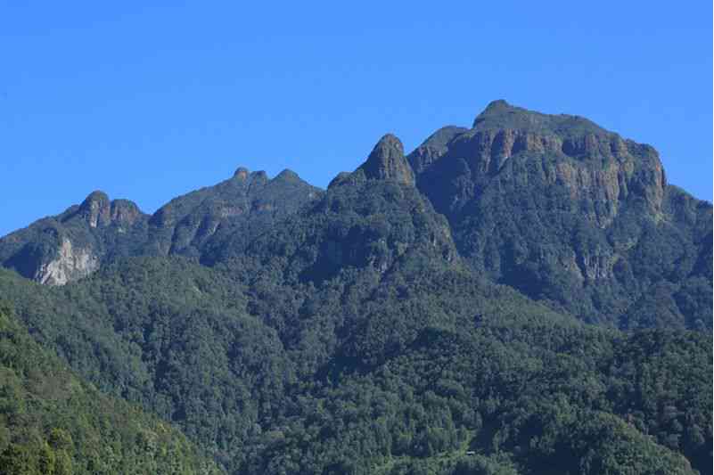 元江普洱茶醋总代理电话与地址