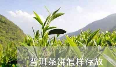 沉香普洱茶饼如何存保