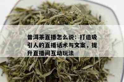 云洱普洱茶中秋节特活动：品质茶叶限时抢购，品鉴与送礼两相宜！