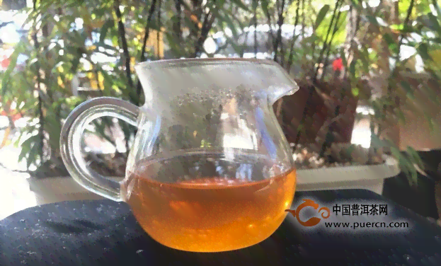 普洱茶茶韵的深层含义与品鉴方法，让你全面了解这一独特魅力