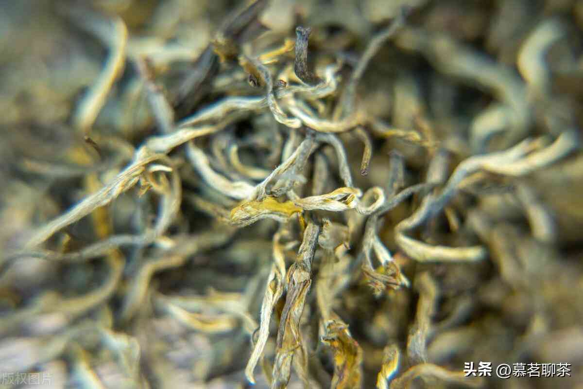 普洱茶子制作材料：揭示普洱茶上的子是什么做的的真相